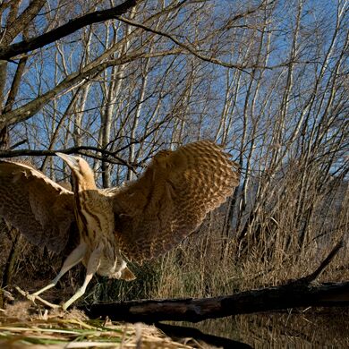 9. Platz: Valter Pallaoro - Atteraggio perfetto