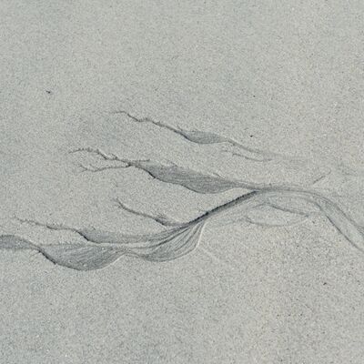 4. Platz: Max Drescher - Sand