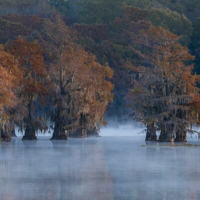 10. Platz: Maurizio Barchi - Nebbia mattutina