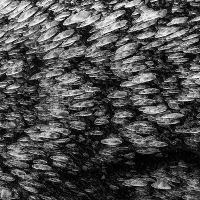 6. Platz: Claudio Sferra - Eiszapfen