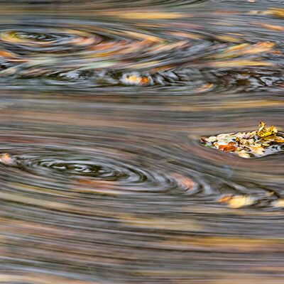 4. Platz: Toni Jaitner - Wasserspiel