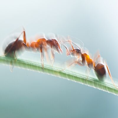 6. Platz: Carlo Dapoz