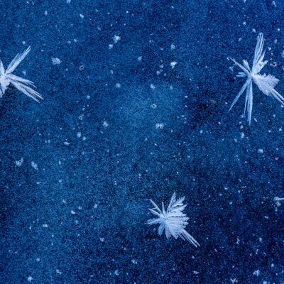 10. Platz: Manuel Plaickner - Eisblume