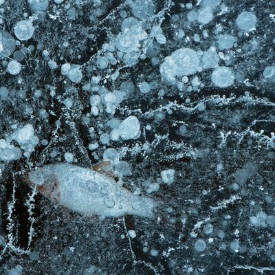 7. Platz: Claudio Sferra - Eingefroren