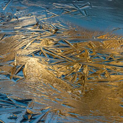 7. Platz: Ulrike Ploner - Der goldene Teich