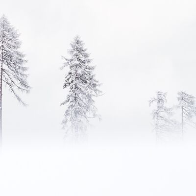 8. Platz: Manuel Plaickner - Winterzauber