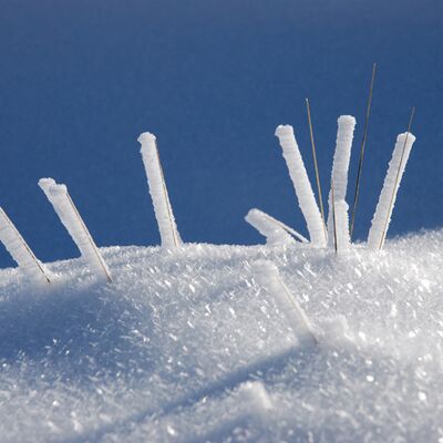 10. Platz: Reinhard Arnold - Schneestruktur