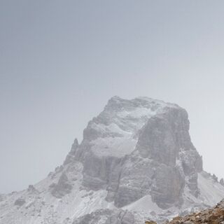 9. Platz: Hugo Wassermann - Gämse