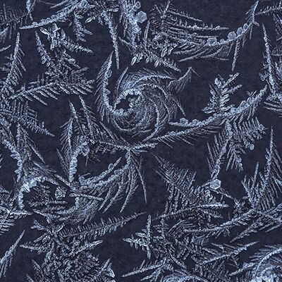 1. Platz: Annamaria Pernstich - Filigrane Eismuster