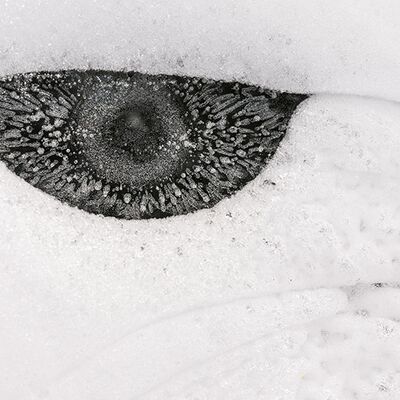 2. Platz: Annamaria Pernstich - Kalter Blick