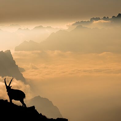 5. Platz: Matthias Gritsch - Schöne Aussicht