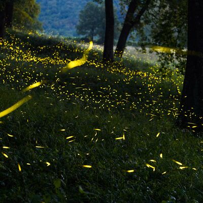 10. Platz: Maurizio Barchi - Come nelle fiabe