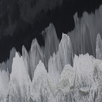 3. Platz: Max Drescher - Vergänglich