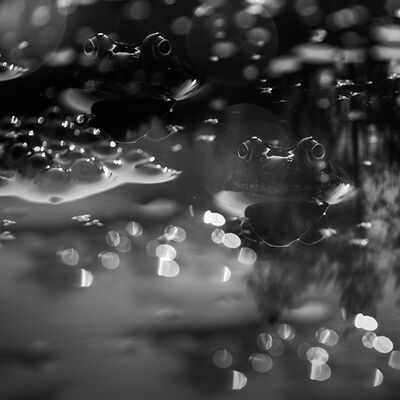 6. Platz: Claudio Sferra - Oscure presenz