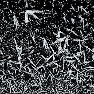 7. Platz: Matthias Gritsch - Scherben