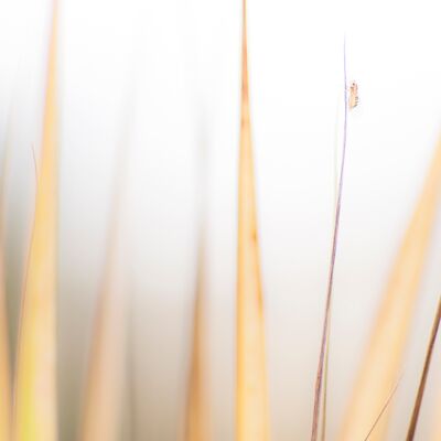 4. Platz: Martin Brugger - Schwindelfrei