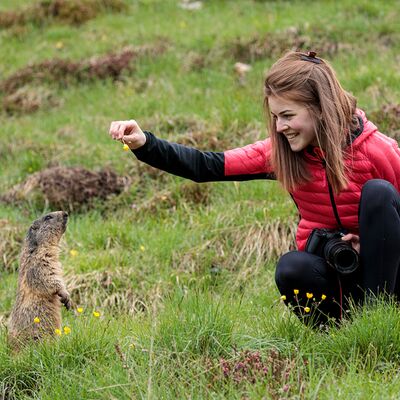 9. Platz: Helmut Elzenbaumer - Murmeltier