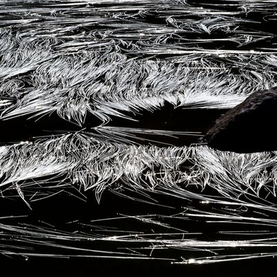 5. Platz: Walter Pallaoro