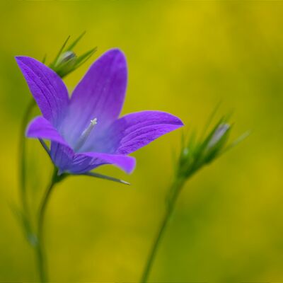 6. Platz: Georg Tauber - Winki Winki