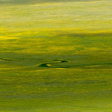 8. Platz: Walter Oberlechner - Piano grande