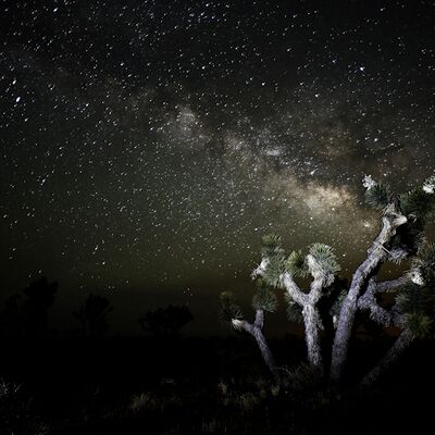 5. Platz: Stefano Baglioni - Accarezzata dalla via lattea