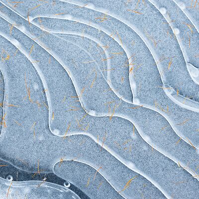 1. Platz: Silvan Lamprecht - Eislinien