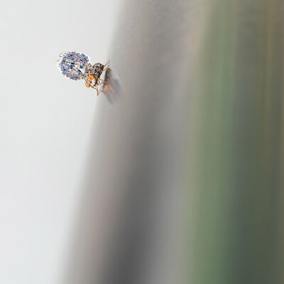 3. Platz: Peter Pliger - Fliege