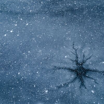 5. Platz: Peter Pliger - Herz aus Eis