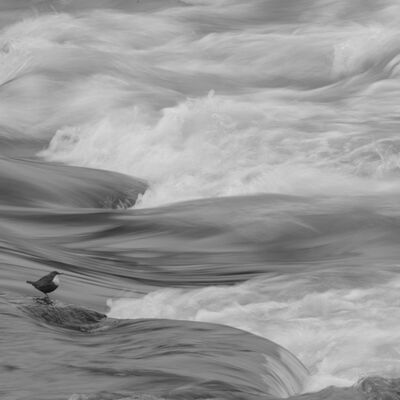 6. Platz: Valter Pallaoro - In attesa dell onda