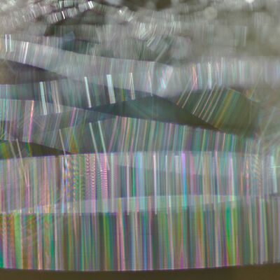 8. Platz: Roland Platzgummer - Spinnennetz