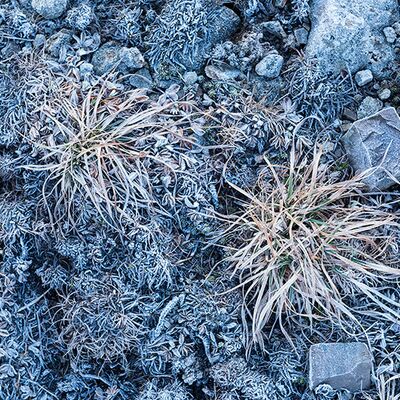 8. Platz: Giovanni Maurizi - Trini e merletti