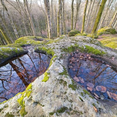 6. Platz: Georg Taschler - Hippie