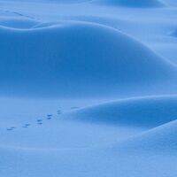 2. Platz: Hugo Wassermann - Schneehügel