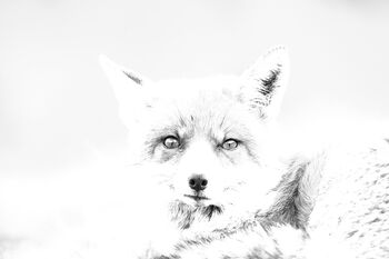 Rotfuchs-DU hast mich geweckt