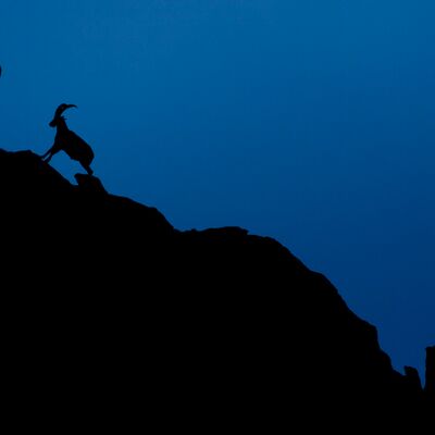 1. Platz: Johannes Wassermann - Rangordnung