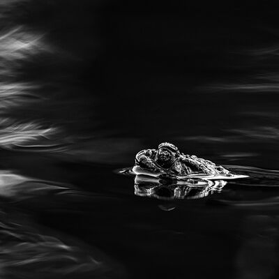 3. Platz: Kerstin Siepmann - Am Dorfteich