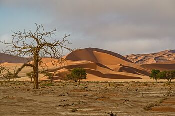 Namibia