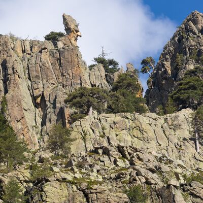 2. Platz: Roland Platzgummer - Kopf aus Fels