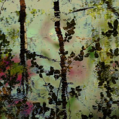 7. Platz: Helga Toetsch - Spiegelung