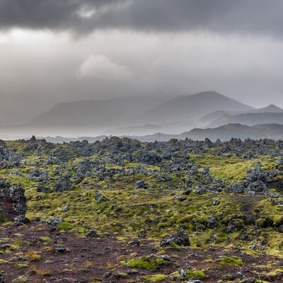 9. Platz: Maurizio Barchi - Rocce e muschio