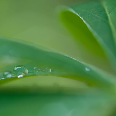 9. Platz: Pallaoro Walter