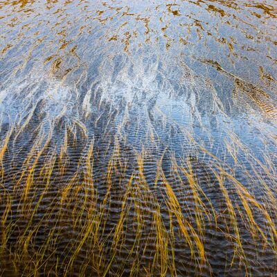 6. Platz: Silvan Lamprecht - Windböhen