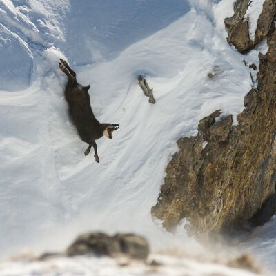 9. Platz: Alfred Erardi - Mutsprung