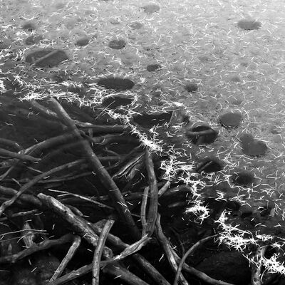 10. Platz: Martin Brugger - Schwarz wEis