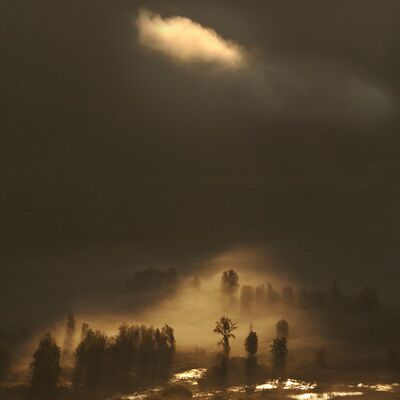 10. Platz: Annamaria Pernstich - Sumpflandschaft