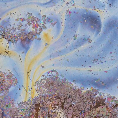 3. Platz: Alfred Erardi - Mikrokosmos