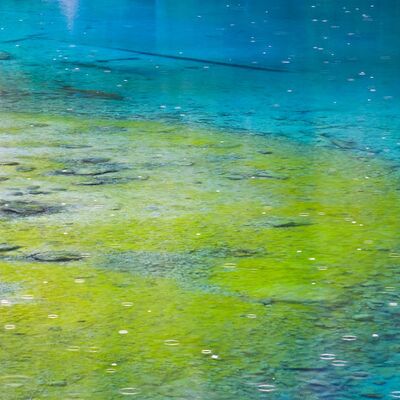 9. Platz: Kantioler Georg - Regen im Karersee