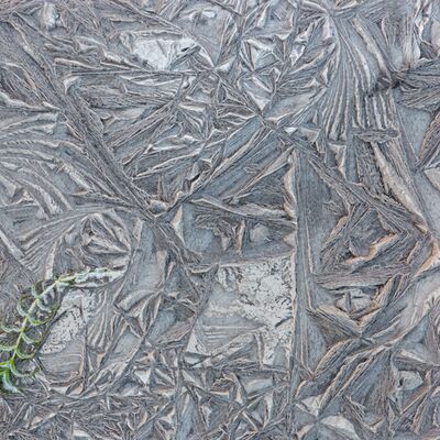 5. Platz: Hugo Wassermann - Erstarrt