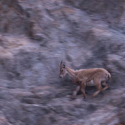 5. Platz: Annamaria Pernstich - Meister des Gleichgewichts