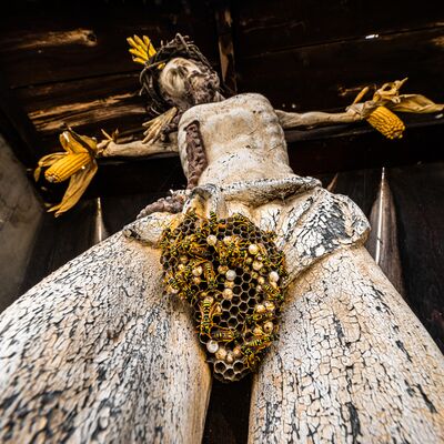 1. Platz: Georg Kantioler - Schlimmer gehts immer